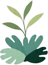 a green plant with leaves on it.jpg